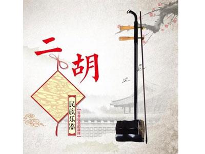 招聘湖州二胡家教老师